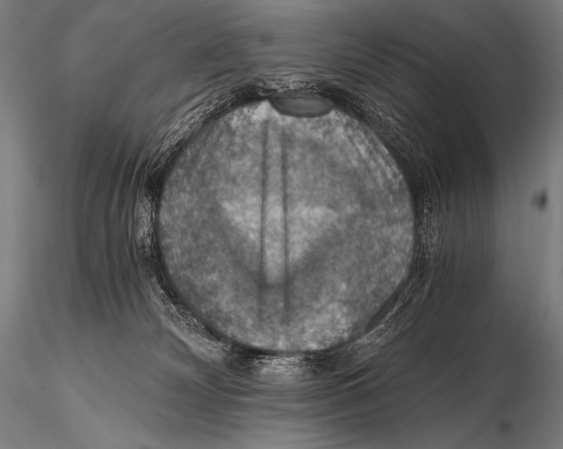 X0000115410132200912011349