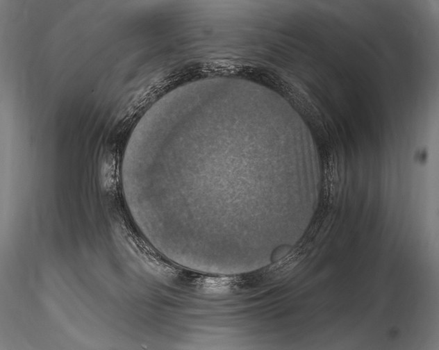 X0000115410134200912011349