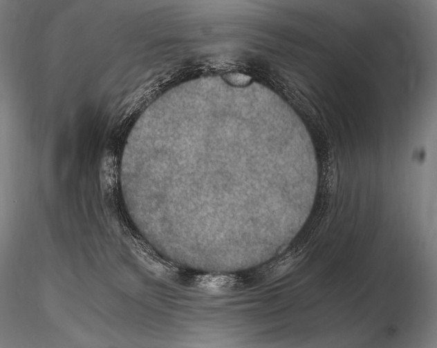 X0000115410135200912011349