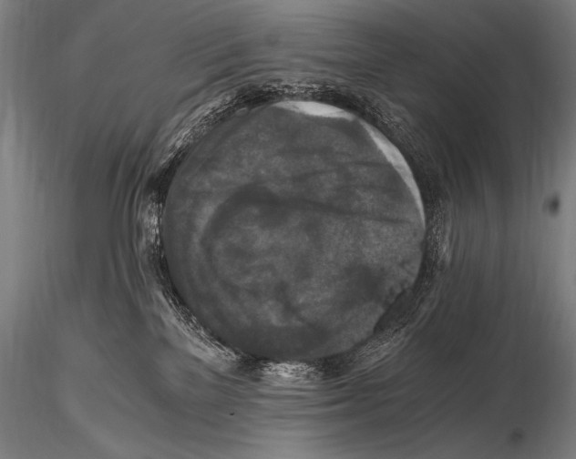 X0000115410137200912011349