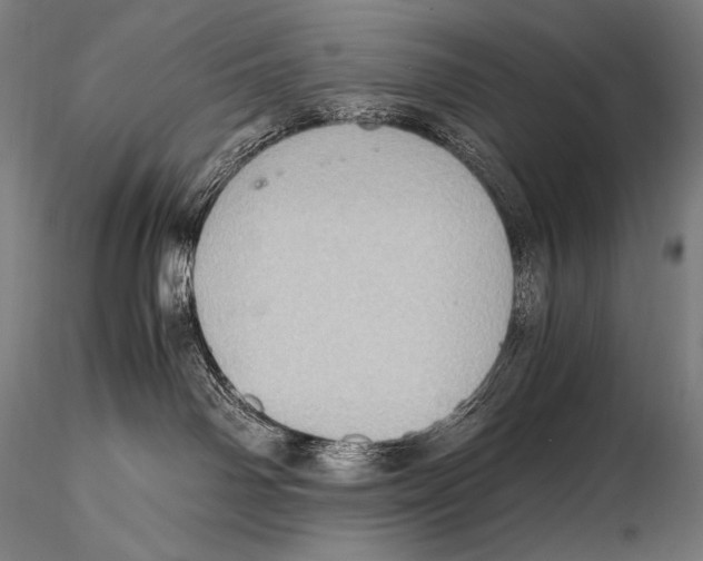 X0000115410142200912011349