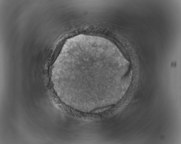 X0000115410144200912011349