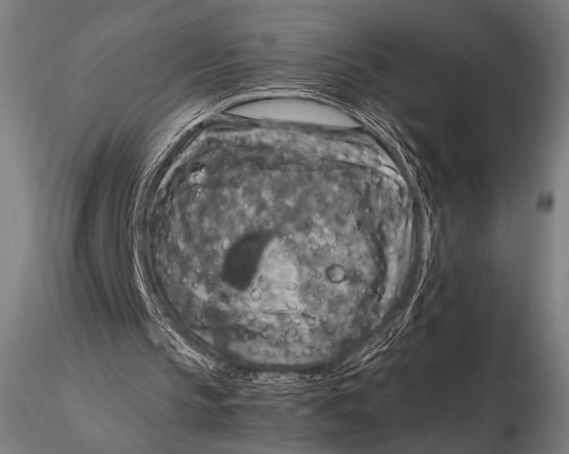 X0000115410145200912011348