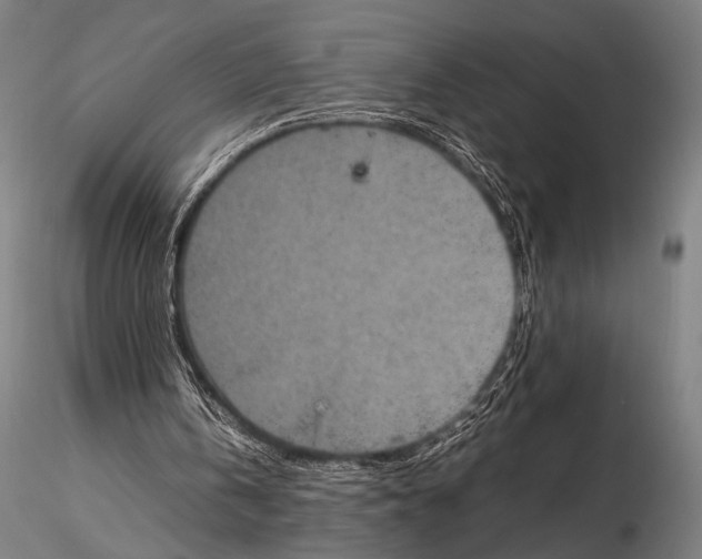 X0000115410146200912011348