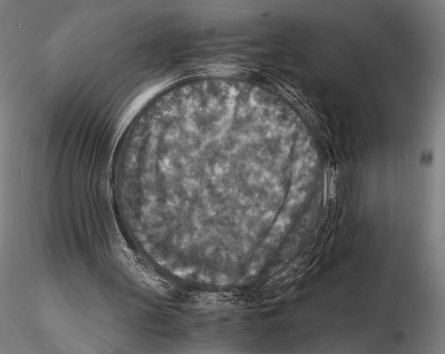 X0000115410147200912011348