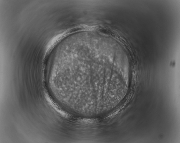 X0000115410149200912011348