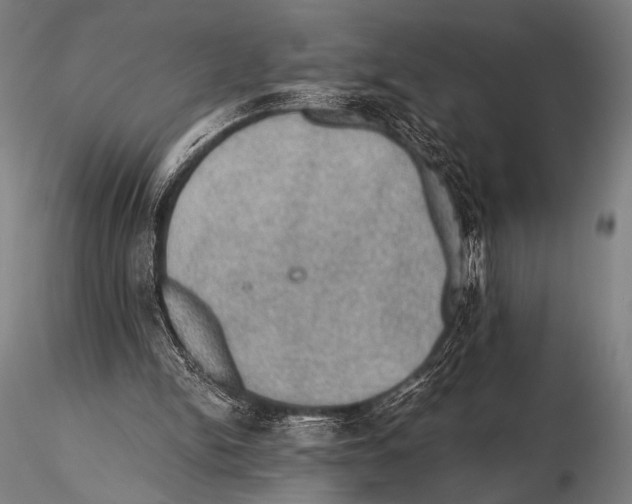 X0000115410150200912011348