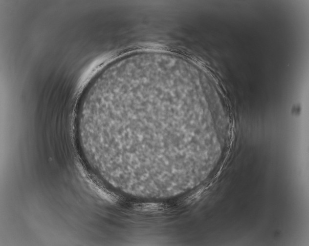 X0000115410151200912011348