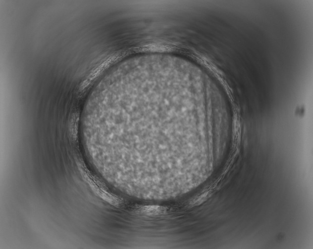 X0000115410153200912011348