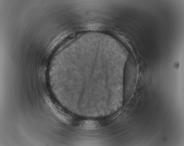 X0000115410154200912011348