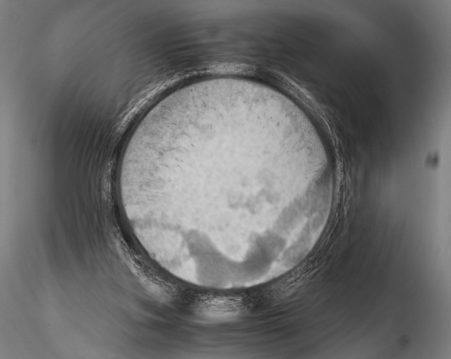 X0000115410155200912011348