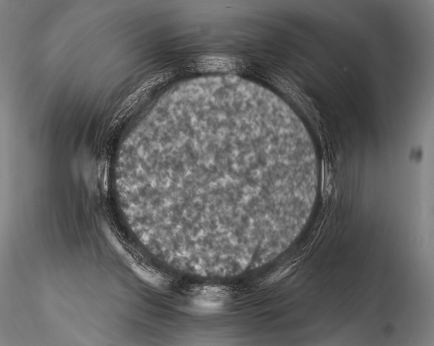 X0000115410157200912011348