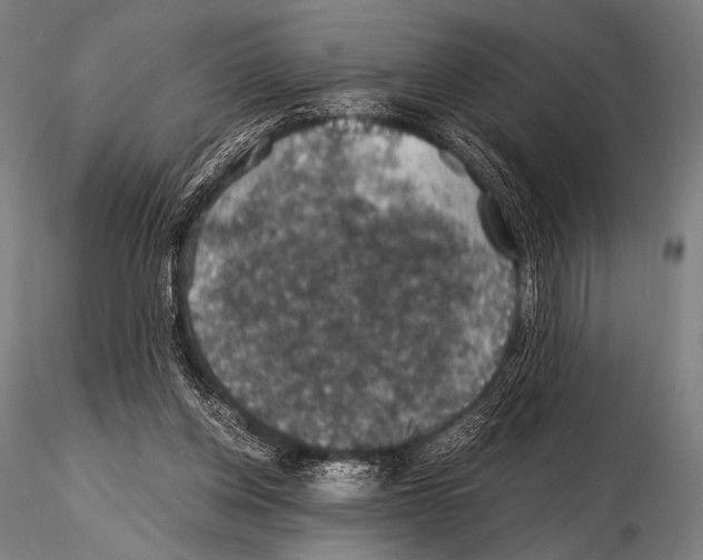 X0000115410158200912011348