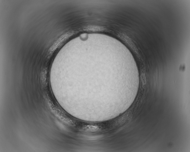 X0000115410159200912011348