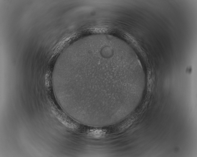 X0000115410161200912011348