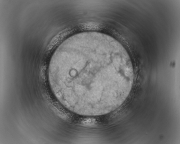 X0000115410162200912011348