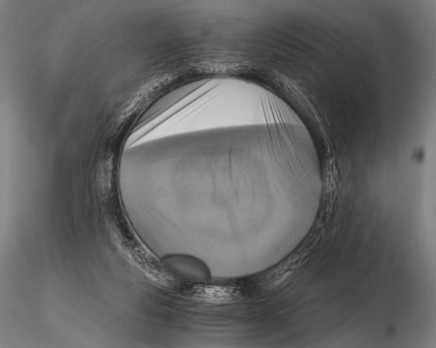 X0000115410163200912011348