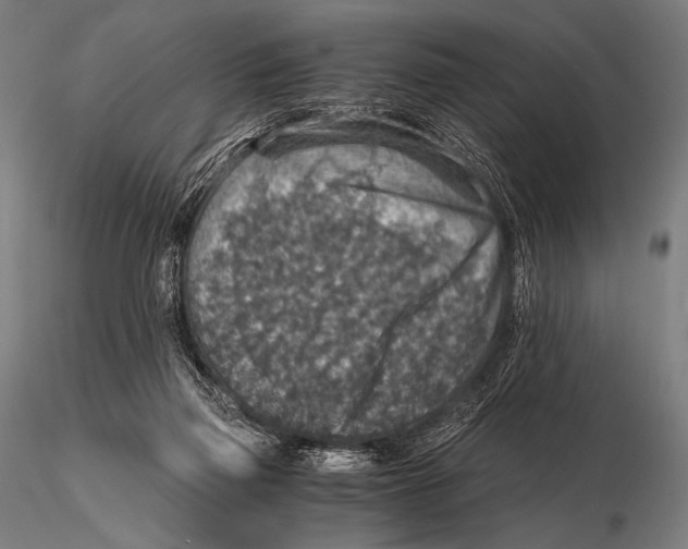 X0000115410165200912011348