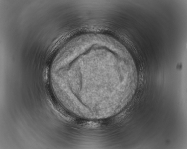 X0000115410166200912011348