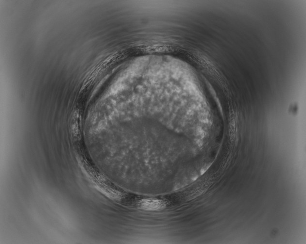 X0000115410169200912011348