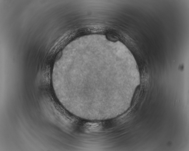 X0000115410170200912011348