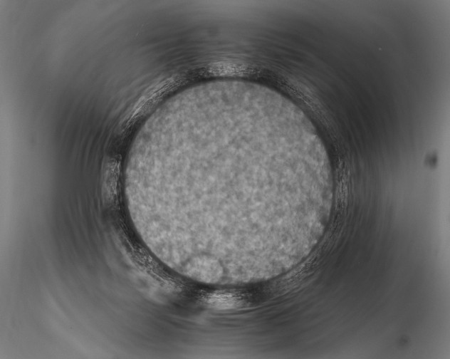 X0000115410171200912011348