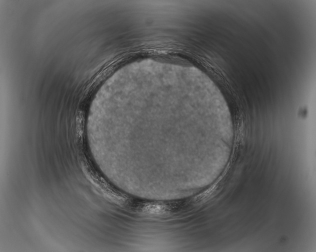 X0000115410174200912011348