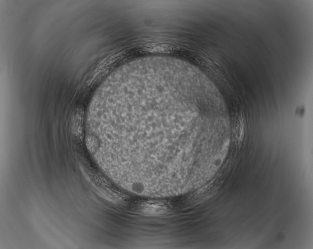 X0000115410175200912011348