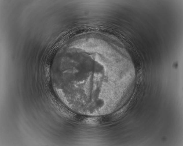 X0000115410178200912011348