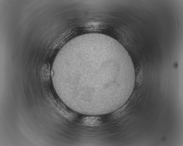 X0000115410179200912011348