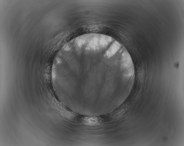 X0000115410181200912011348