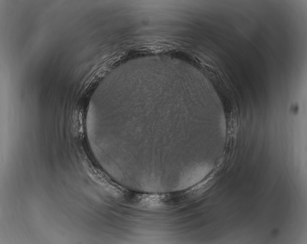 X0000115410182200912011348