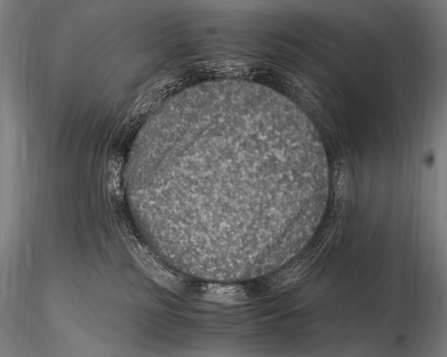 X0000115410185200912011348