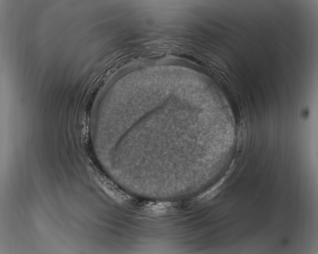 X0000115410186200912011348