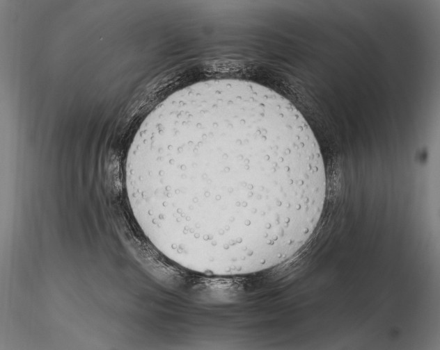 X0000115410187200912011348