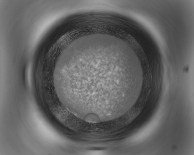 X0000115410189200912011349