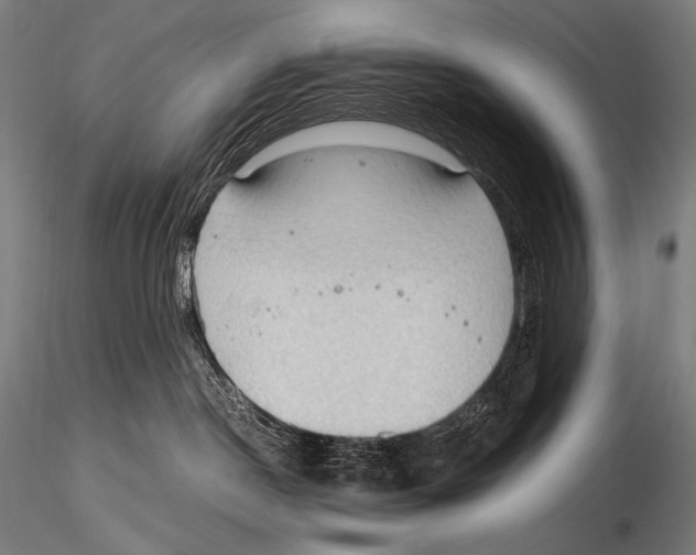 X0000115410190200912011349