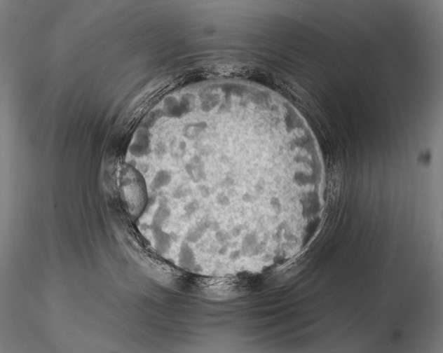 X0000115410191200912011349