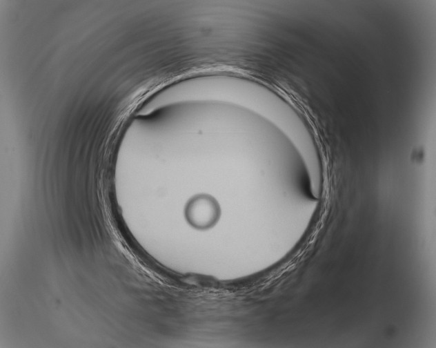 X0000115410193200912011348