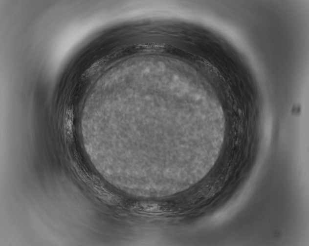 X0000115410194200912011348