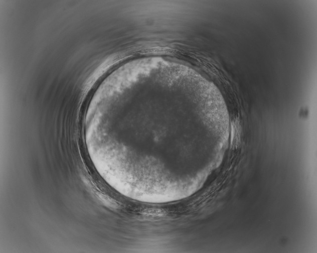 X0000115410195200912011348