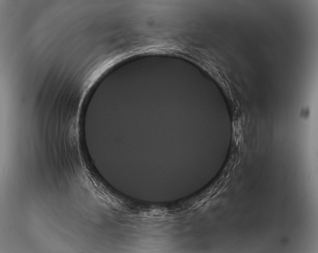 X0000115410196200912011348