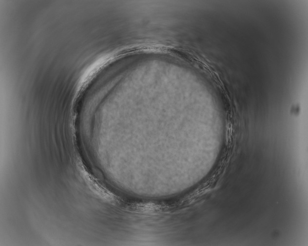 X0000115410197200912011348