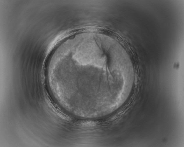 X0000115410198200912011348