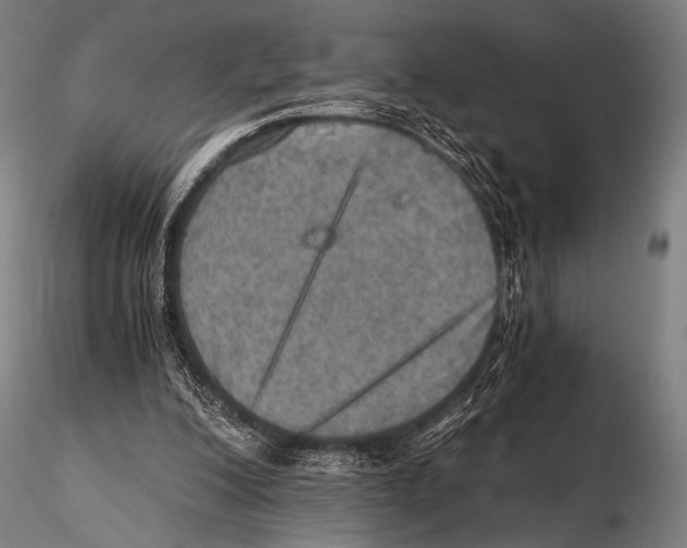 X0000115410200200912011348