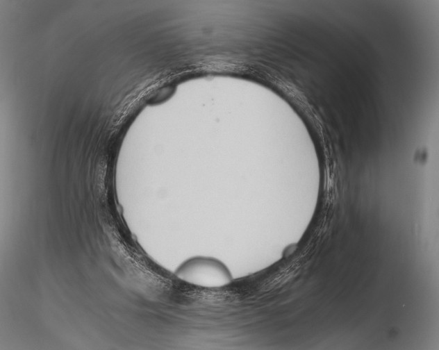 X0000115410201200912011348