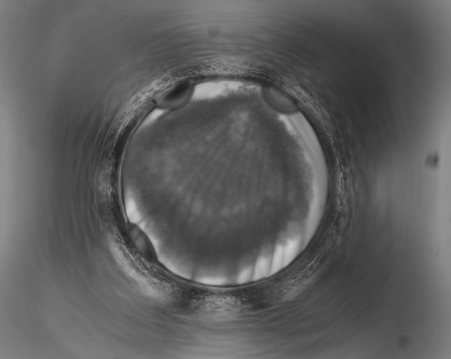 X0000115410203200912011348