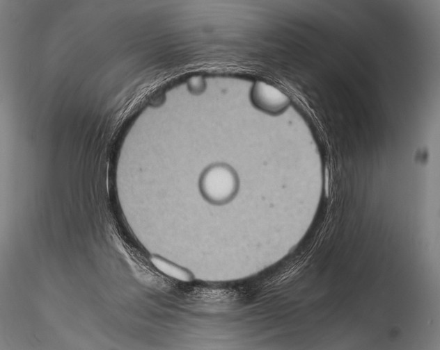 X0000115410205200912011348