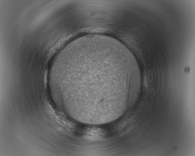 X0000115410206200912011348