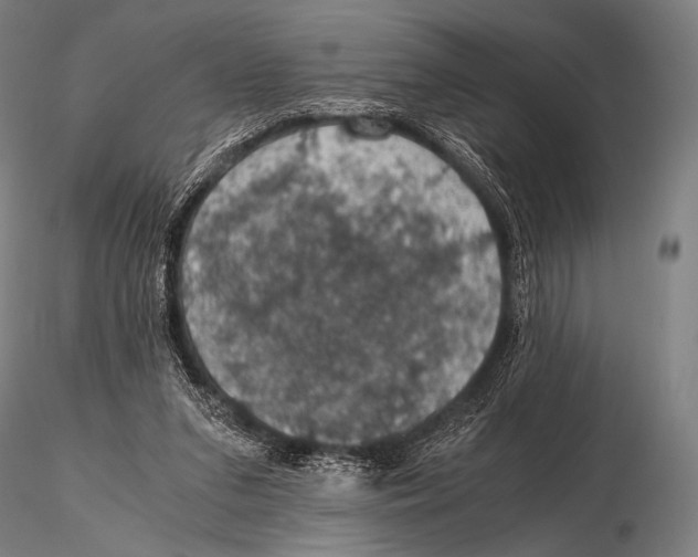 X0000115410207200912011348